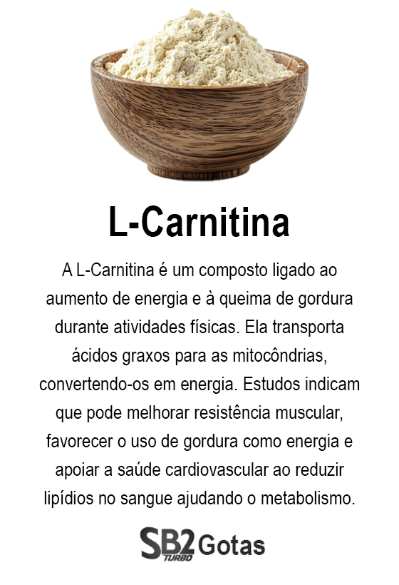 ingrediente-sb2-gotas-2-L-carnitina
