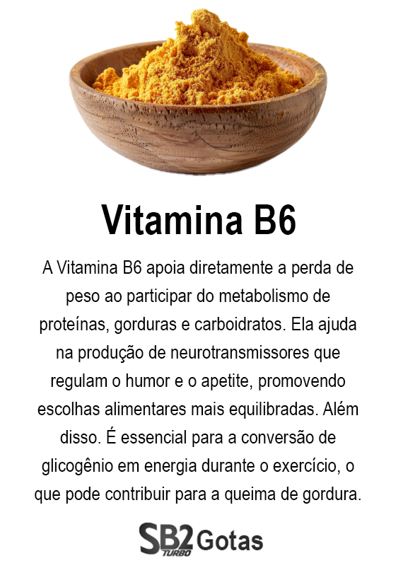 ingrediente-sb2-gotas-2-vitaina-B6