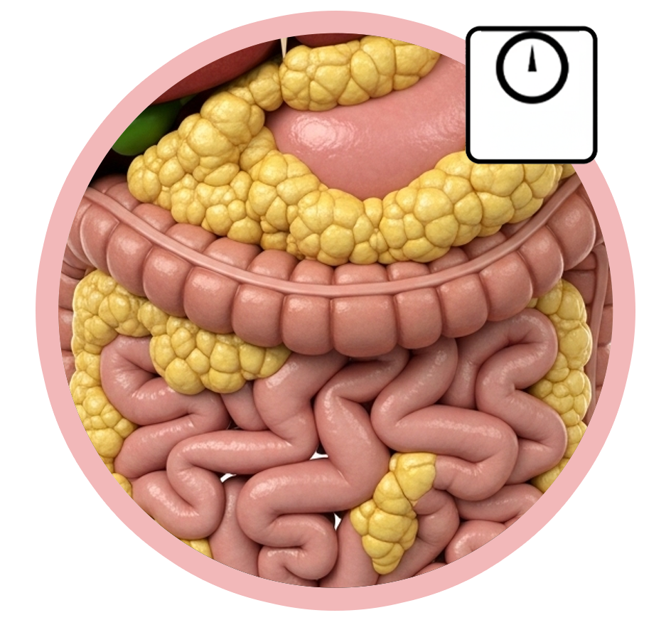 absorscao-de-gordura-2.png